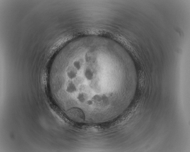 X0000115190683200911121822