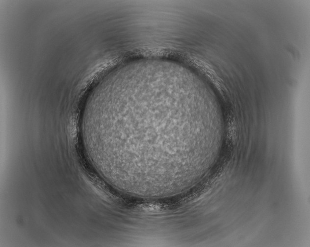 X0000115190687200911121822