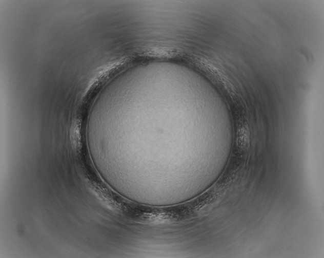 X0000115190688200911121822