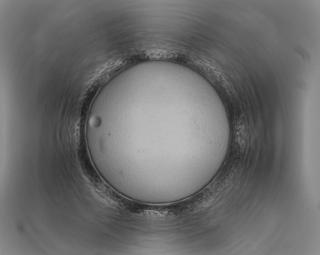 X0000115190690200911121822