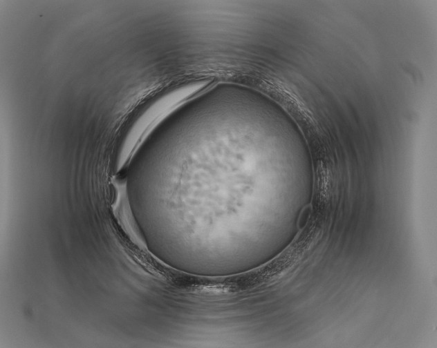 X0000115190692200911121822