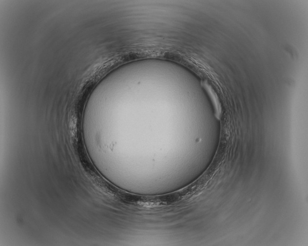 X0000115190693200911121822