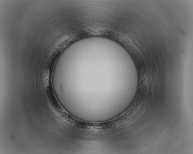 X0000115190694200911121822