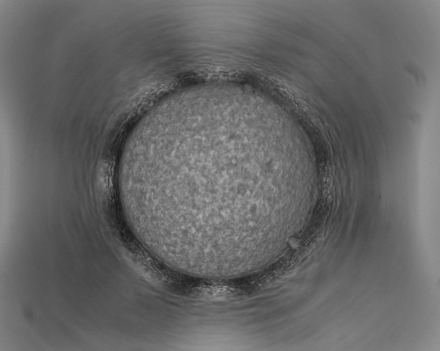 X0000115190695200911121822
