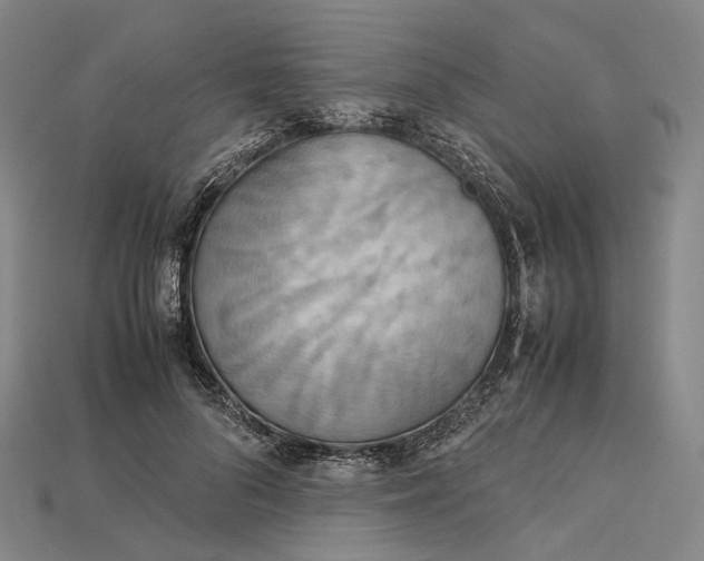 X0000115190696200911121822