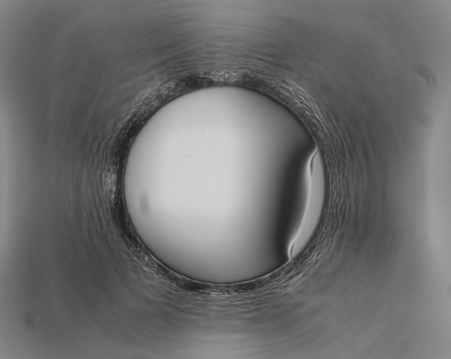 X0000115190697200911121822