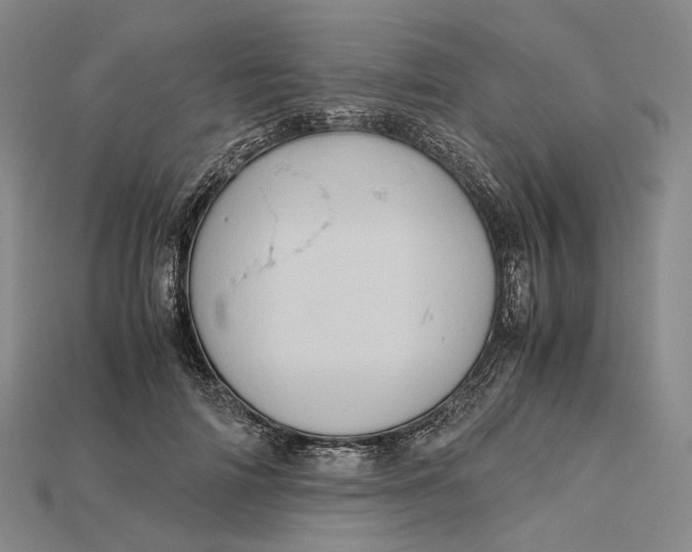 X0000115190698200911121822