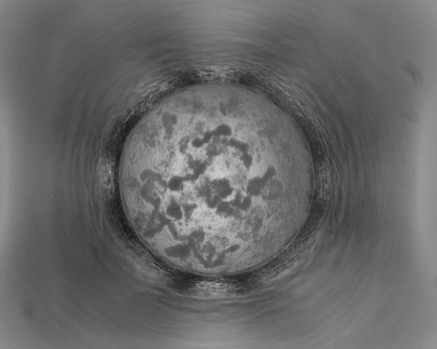 X0000115190699200911121822