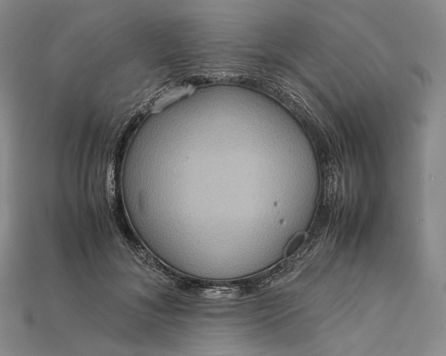 X0000115190700200911121822