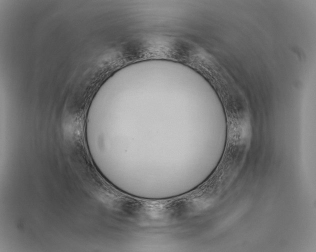 X0000115190701200911121822