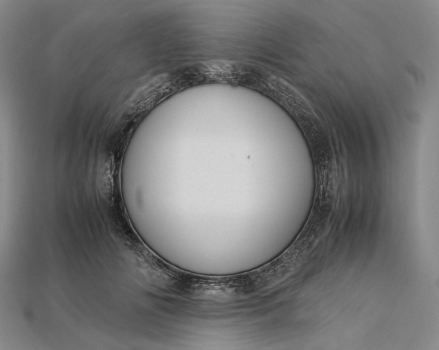 X0000115190702200911121822