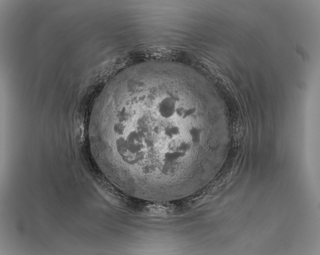 X0000115190703200911121822