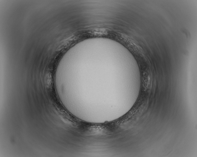 X0000115190704200911121822