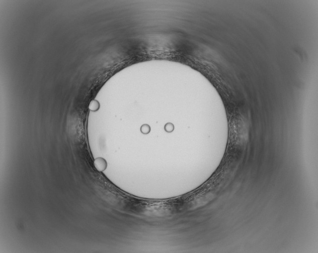 X0000115190705200911121822