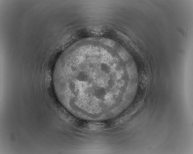 X0000115190707200911121822