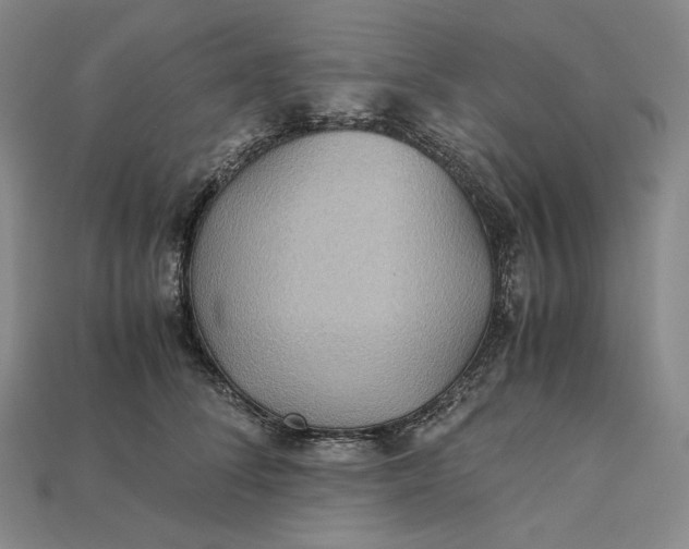 X0000115190708200911121822