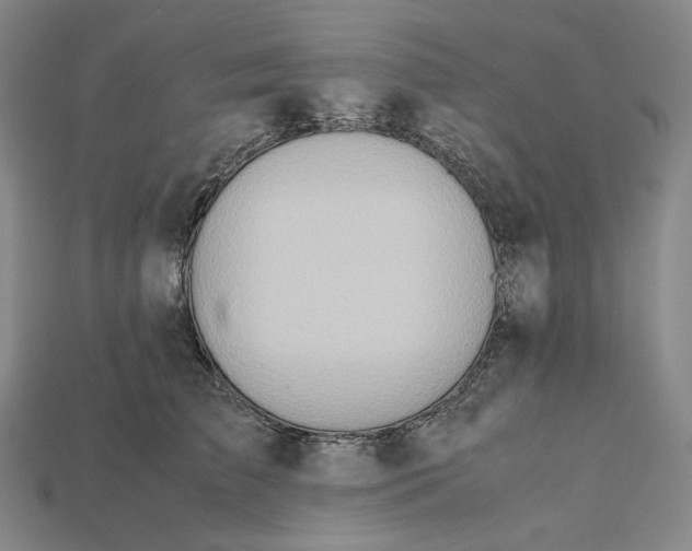 X0000115190709200911121822