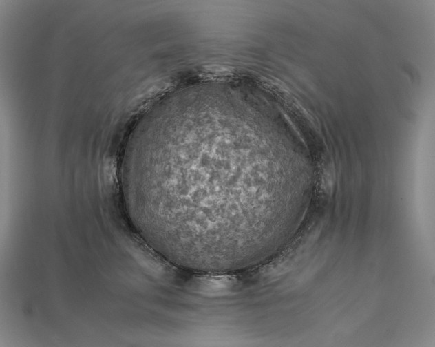 X0000115190711200911121822
