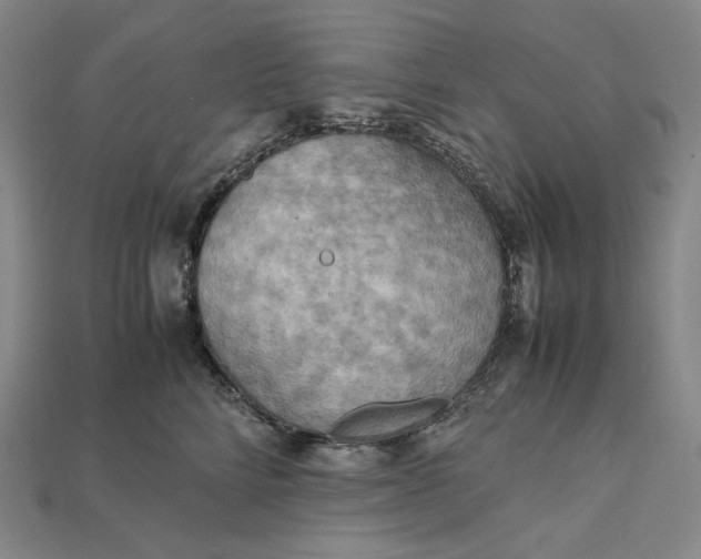 X0000115190712200911121822