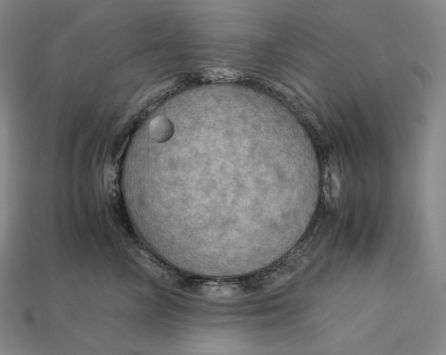 X0000115190714200911121822