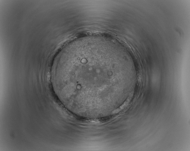X0000115190715200911121822