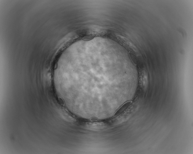 X0000115190716200911121822