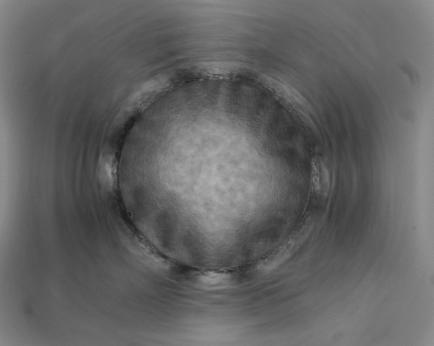 X0000115190718200911121822