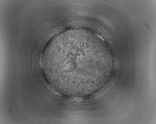 X0000115190719200911121822