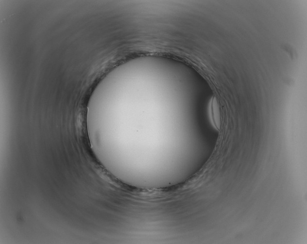 X0000115190720200911121822