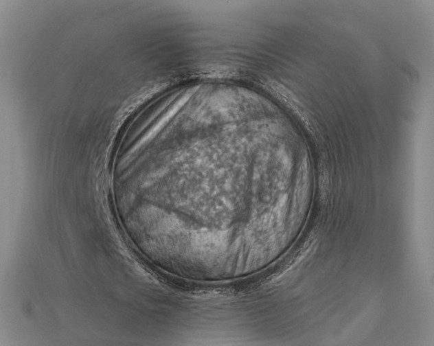 X0000115190721200911121821