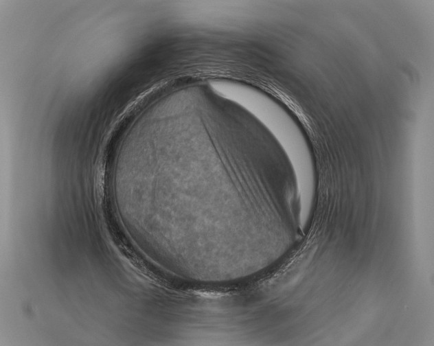 X0000115190722200911121821