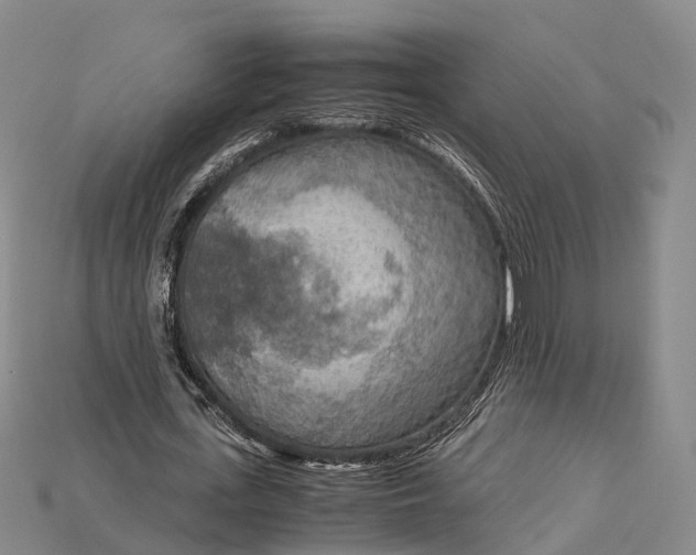 X0000115190723200911121821