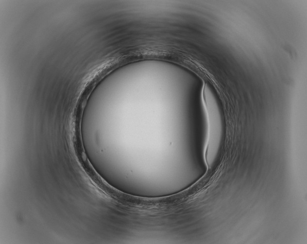 X0000115190725200911121821