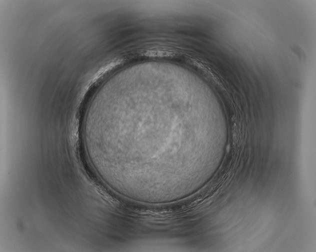 X0000115190727200911121821