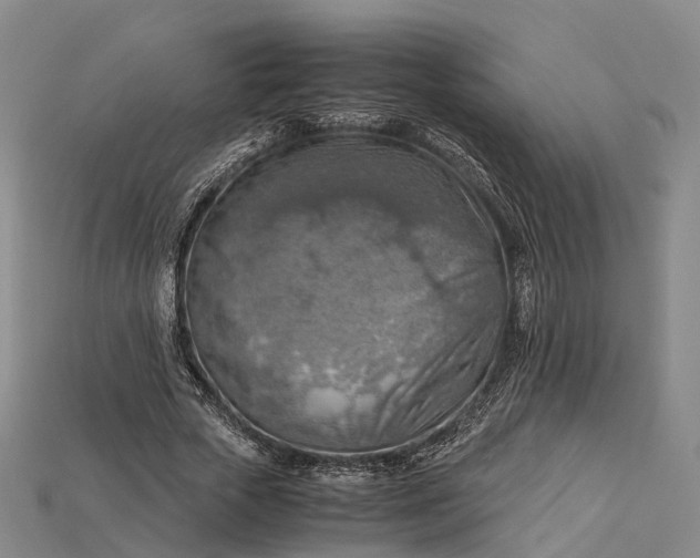 X0000115190729200911121821