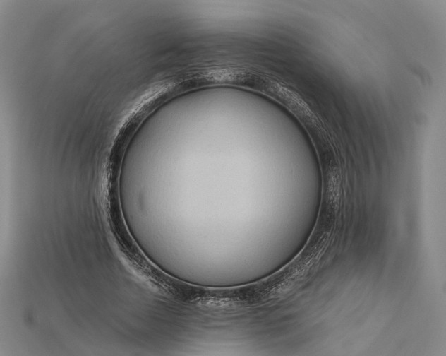 X0000115190730200911121821