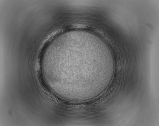 X0000115190731200911121821