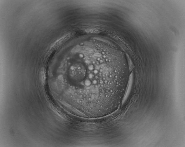 X0000115190733200911121821