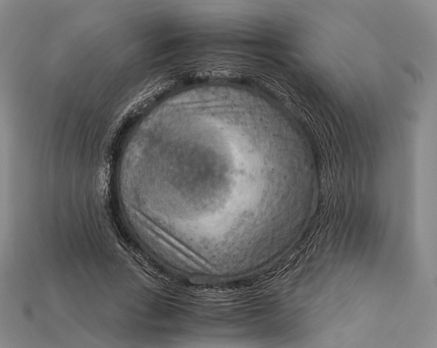 X0000115190735200911121821