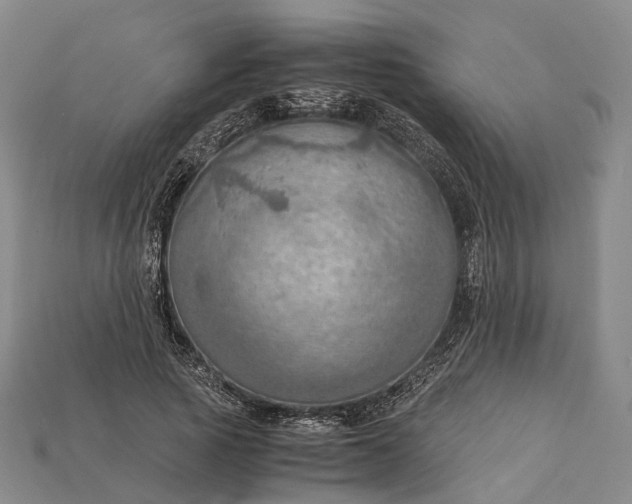 X0000115190737200911121821