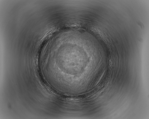 X0000115190739200911121821
