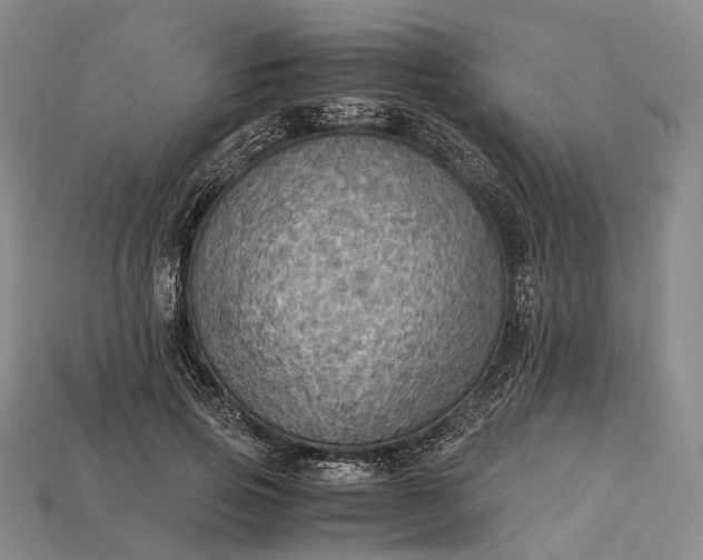 X0000115190741200911121821