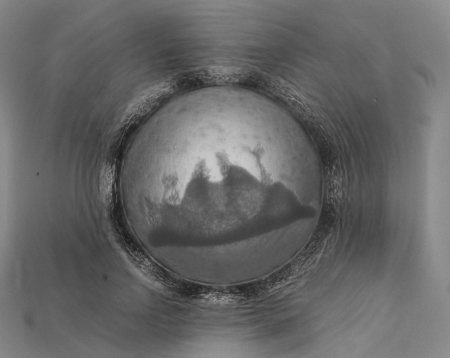 X0000115190742200911121821