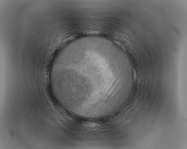 X0000115190743200911121821