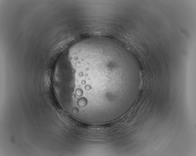 X0000115190746200911121821