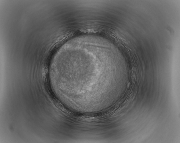 X0000115190747200911121821