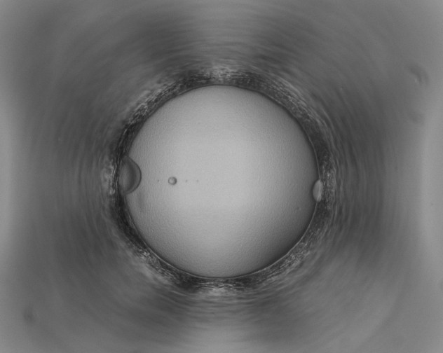 X0000115190750200911121821
