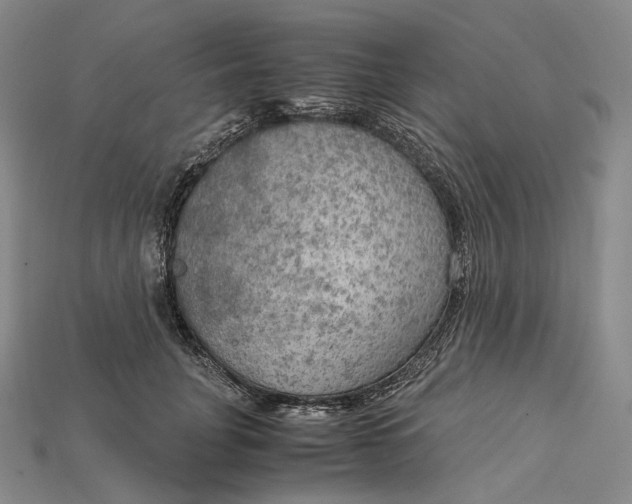 X0000115190751200911121821