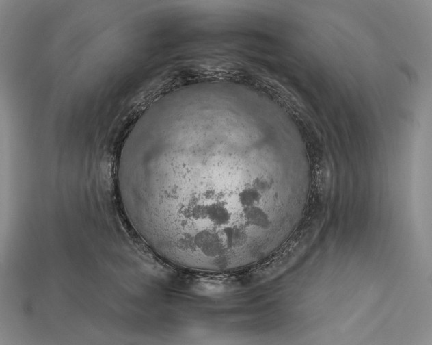 X0000115190757200911121822