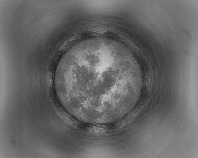 X0000115190758200911121822